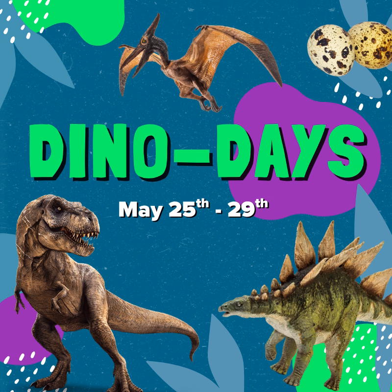 "Promotional graphic for Discovery Children's Museum's Dino-Days, May 25th–29th, featuring a T-Rex, pterodactyl, and stegosaurus."