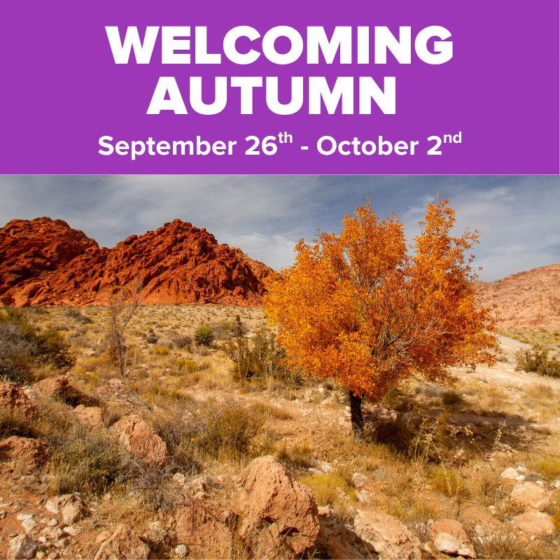Promotional graphic for Welcoming Autumn at DISCOVERY Children's Museum, September 26–October 2, featuring a desert landscape with a vibrant orange autumn tree and red rock formations.