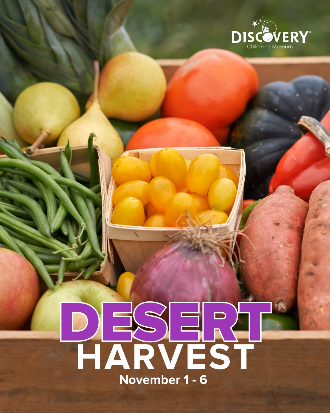 Promotional graphic for Desert Harvest at DISCOVERY Children's Museum, November 1–6, featuring a crate of colorful fresh fruits and vegetables.